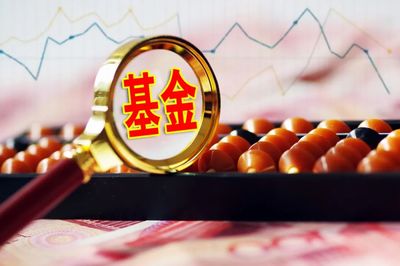 基金公司中报背后的“财富密码”:个人投资者偏爱明星产品 FOF